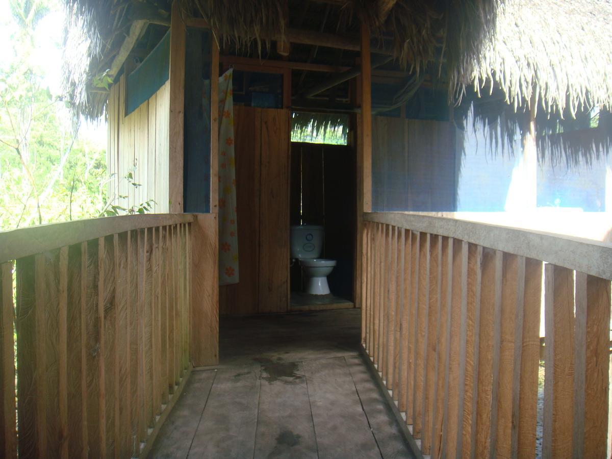 Tuqui Tuqui Amazon Yucuruche Quarto foto